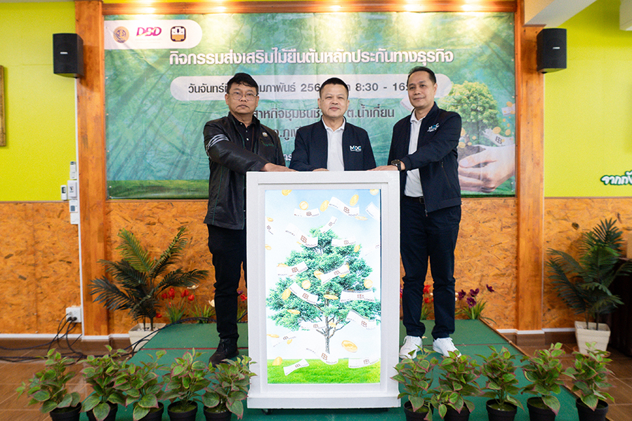 กรมพัฒนาธุรกิจฯ ลุยน่าน ดัน ‘ต้นไม้เป็นทุน’ สร้างเงินหมุนชุมชน