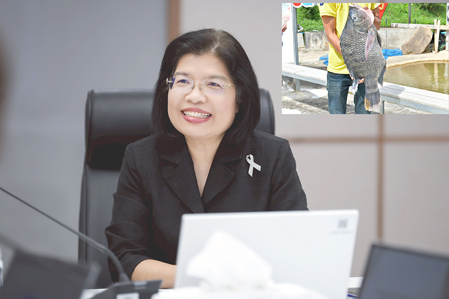 ‘ปลานิลสายน้ำไหลเบตง’ คว้า GI รายการที่ 6 ดันเป็นวัตถุดิบพรีเมียมชายแดนใต้