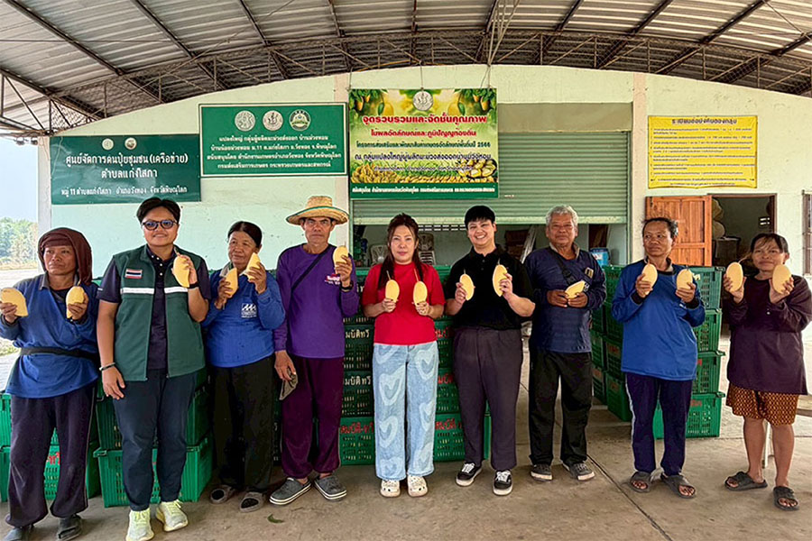 พาณิชย์ดันราคามะม่วงพิษณุโลก เร่งระบายผลผลิตกว่า 30 ตัน